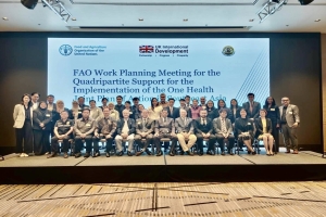 การประชุมวางแผนการดำเนินงานของ FAO เพื่อขับเคลื่อนแผนปฏิบัติการร่วมด้านสุขภาพหนึ่งเดียวในอาเซียน
