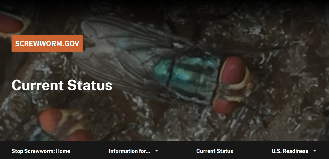 messageImage 1768545415337