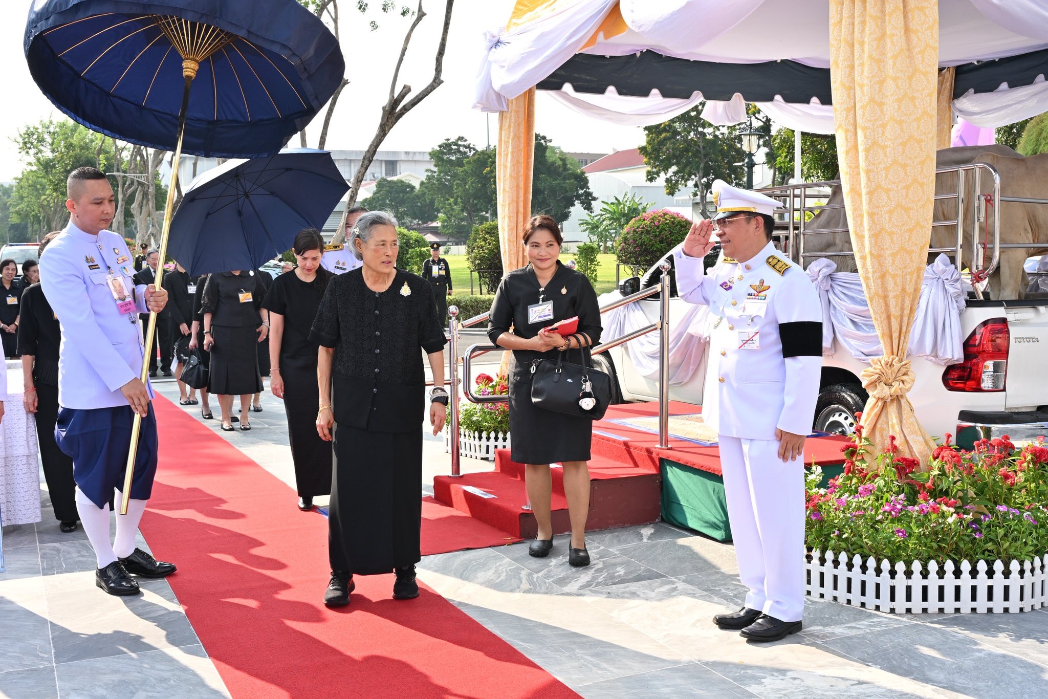 660009262 1247511890825069 4242108724082734752 n