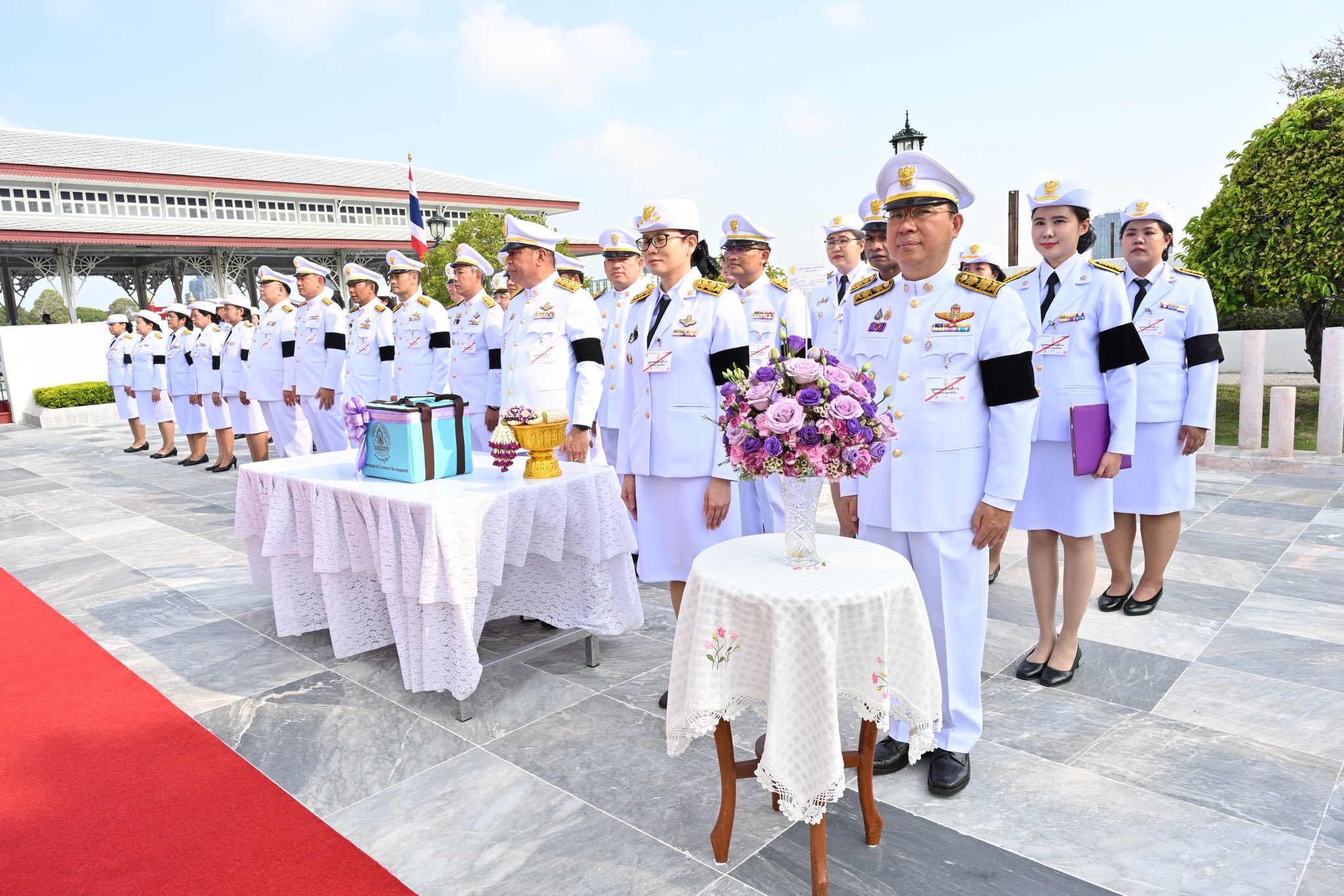 660268636 1247511844158407 4073532220702314716 n