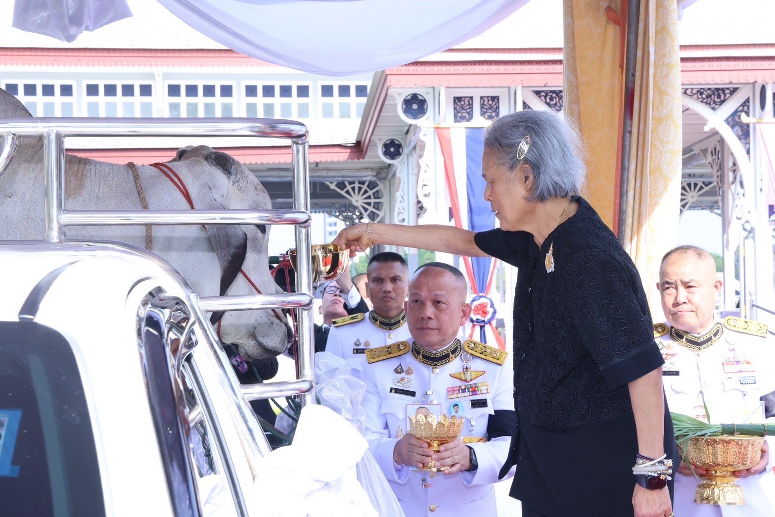 662642608 1247511977491727 6199672673359401647 n