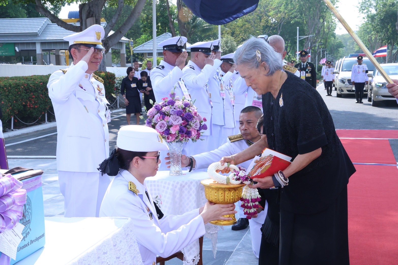 663215417 1247512010825057 3678463014642098642 n