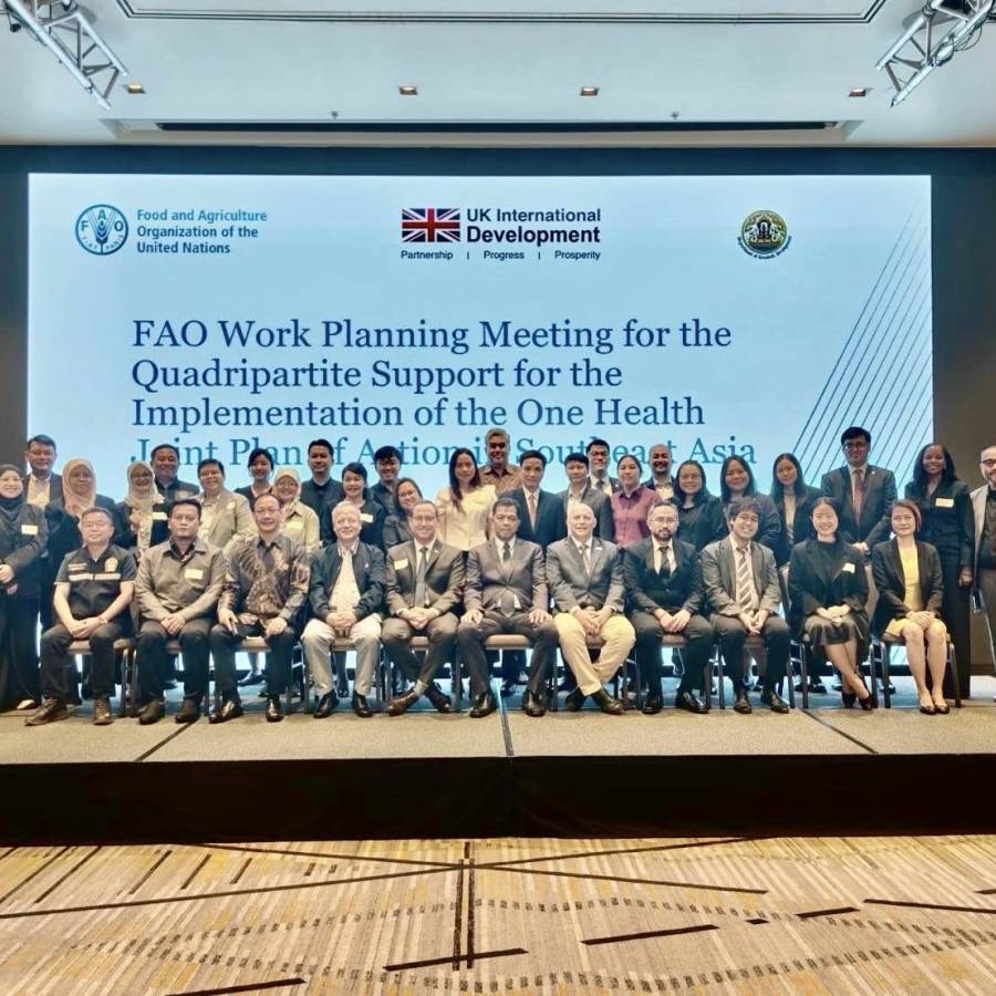 การประชุมวางแผนการดำเนินงานของ FAO เพื่อขับเคลื่อนแผนปฏิบัติการร่วมด้านสุขภาพหนึ่งเดียวในอาเซียน