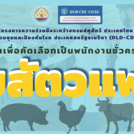 ประกาศกรมปศุสัตว์ เรื่อง รับสมัครบุคคลเพื่อคัดเลือกเป็นพนักงานชั่วคราวในโครงการ CDC ตำแหน่ง นายสัตวแพทย์