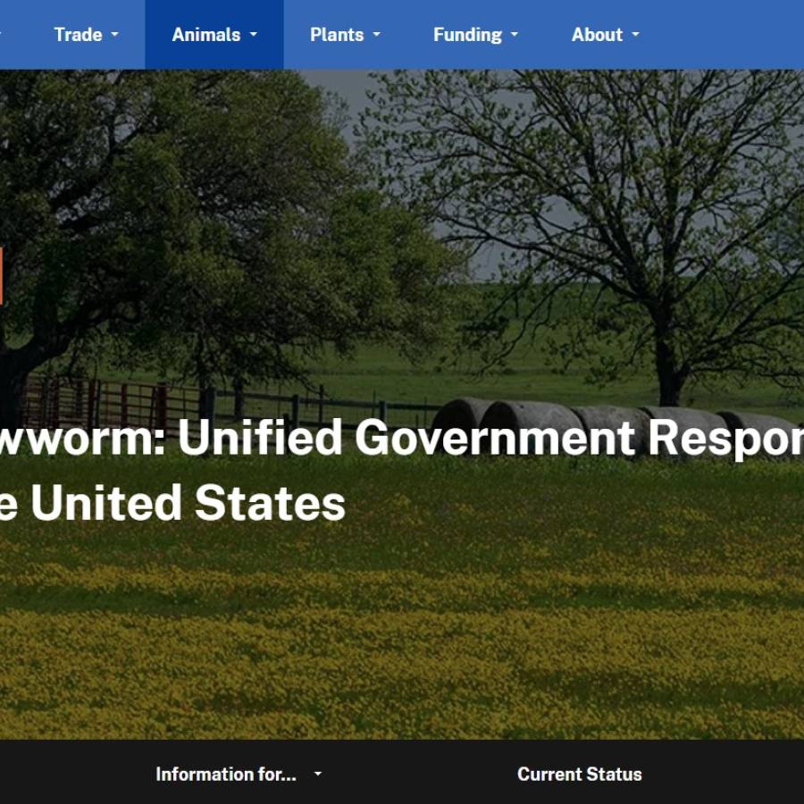 USDA เปิดตัวเว็บไซต์ศูนย์รวมข้อมูลหนอนแมลงวันกินเนื้อ (New World Screwworm) 