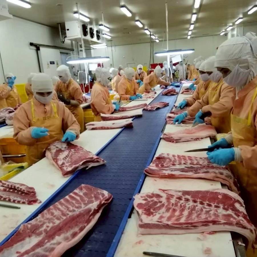 เปิดตลาดหมูไทยบุกมาเลเซีย กรมปศุสัตว์ดันส่งออก 4 พันล้าน หนุนเสถียรภาพราคา